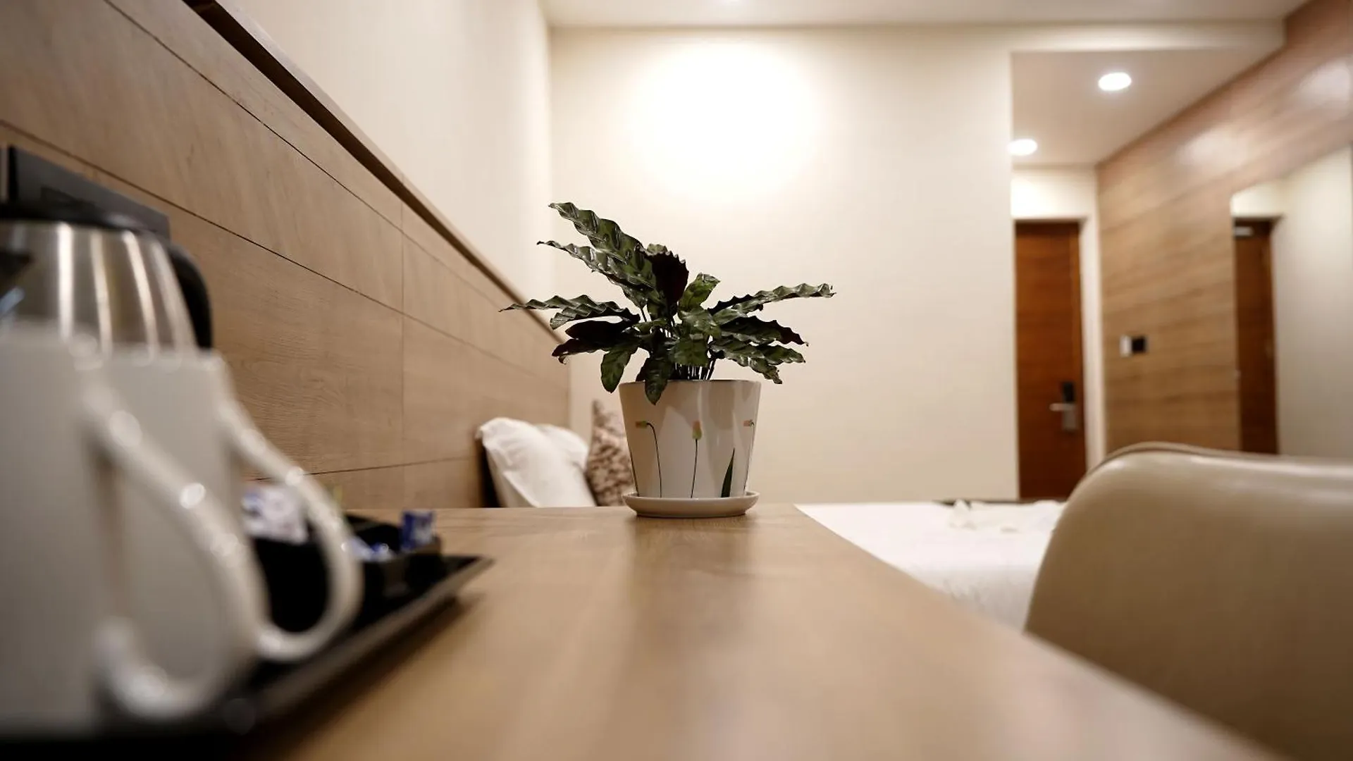 פלקאד Stayon Hotels